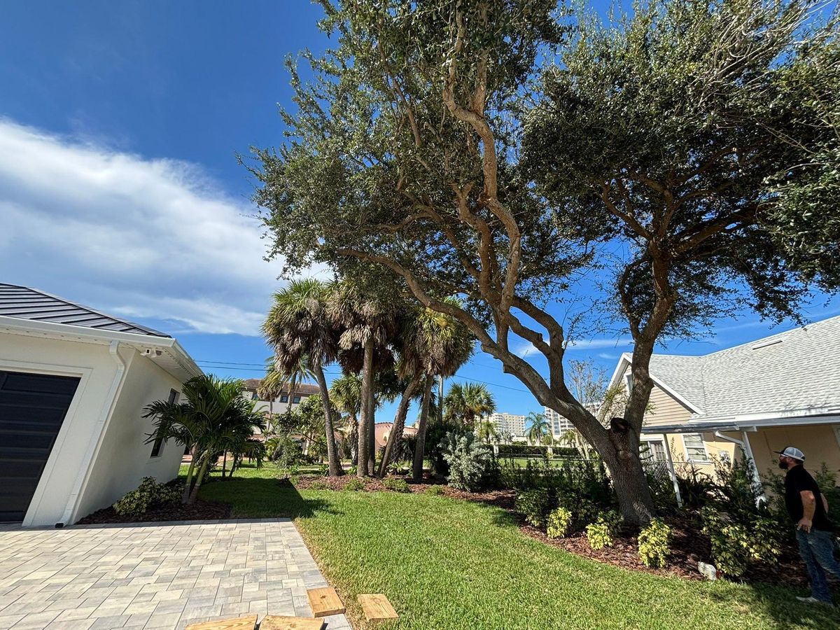 Commercial Landscaping for Cunningham's Lawn & Landscaping LLC in Daytona Beach, Florida