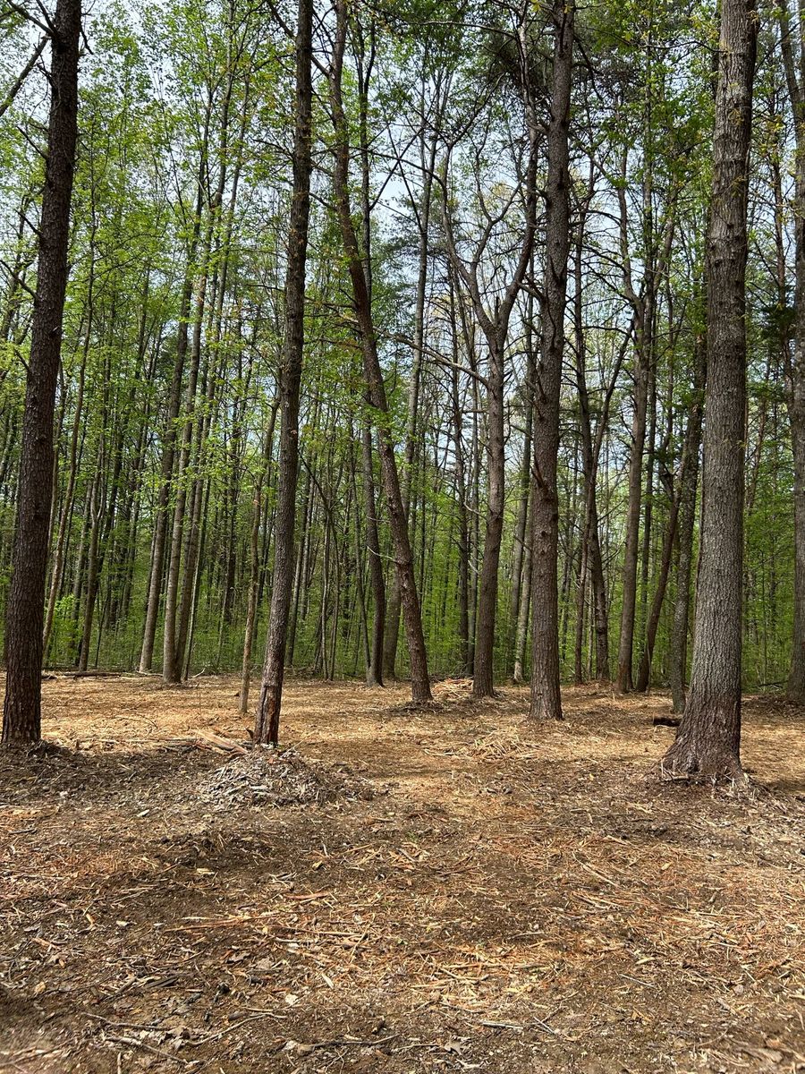 Land Clearing for Z's Land Management & Forestry Mulching in Smithville, TN