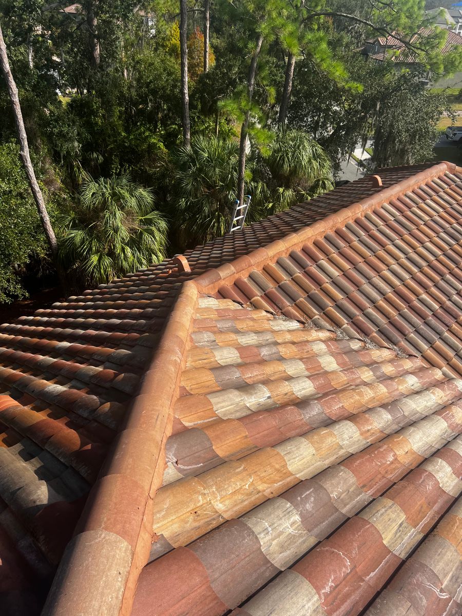 Exterior Cleaning for Barr None Wash Pro in Tampa, FL