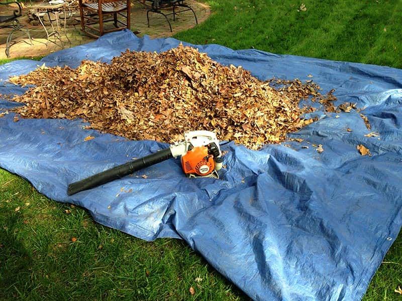 Fall Clean Up for Prairieland Lawncare in Wichita, KS