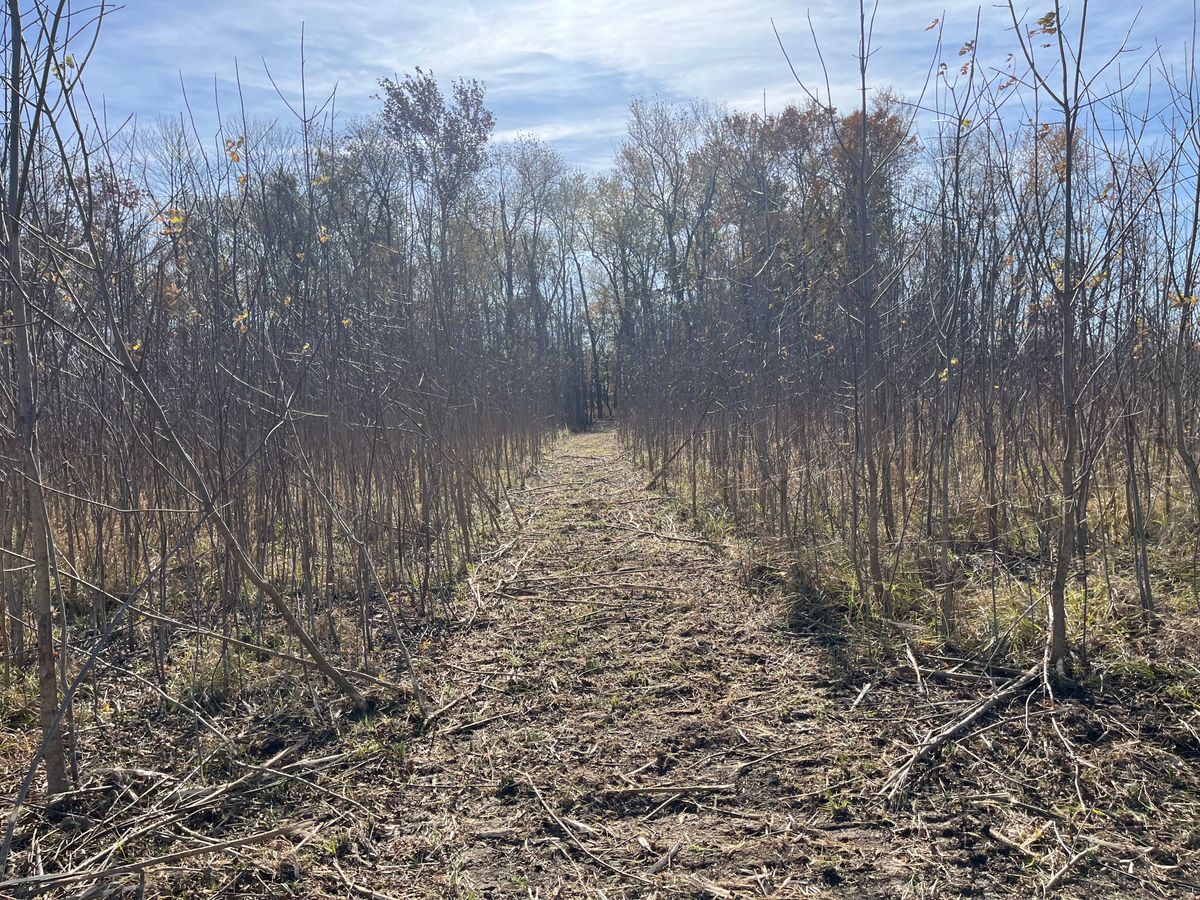 Land Clearing & Demolition for KG Ground Development and Transportation in Newton, IL