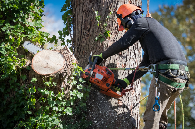 Landscaping for Alaskan Residential Rescue in Anchorage, AK