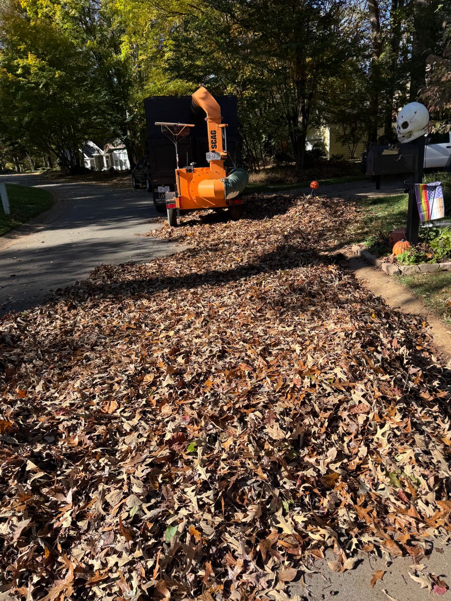 Leaf Removal for 4U Pressure Washing in Huntersville, NC