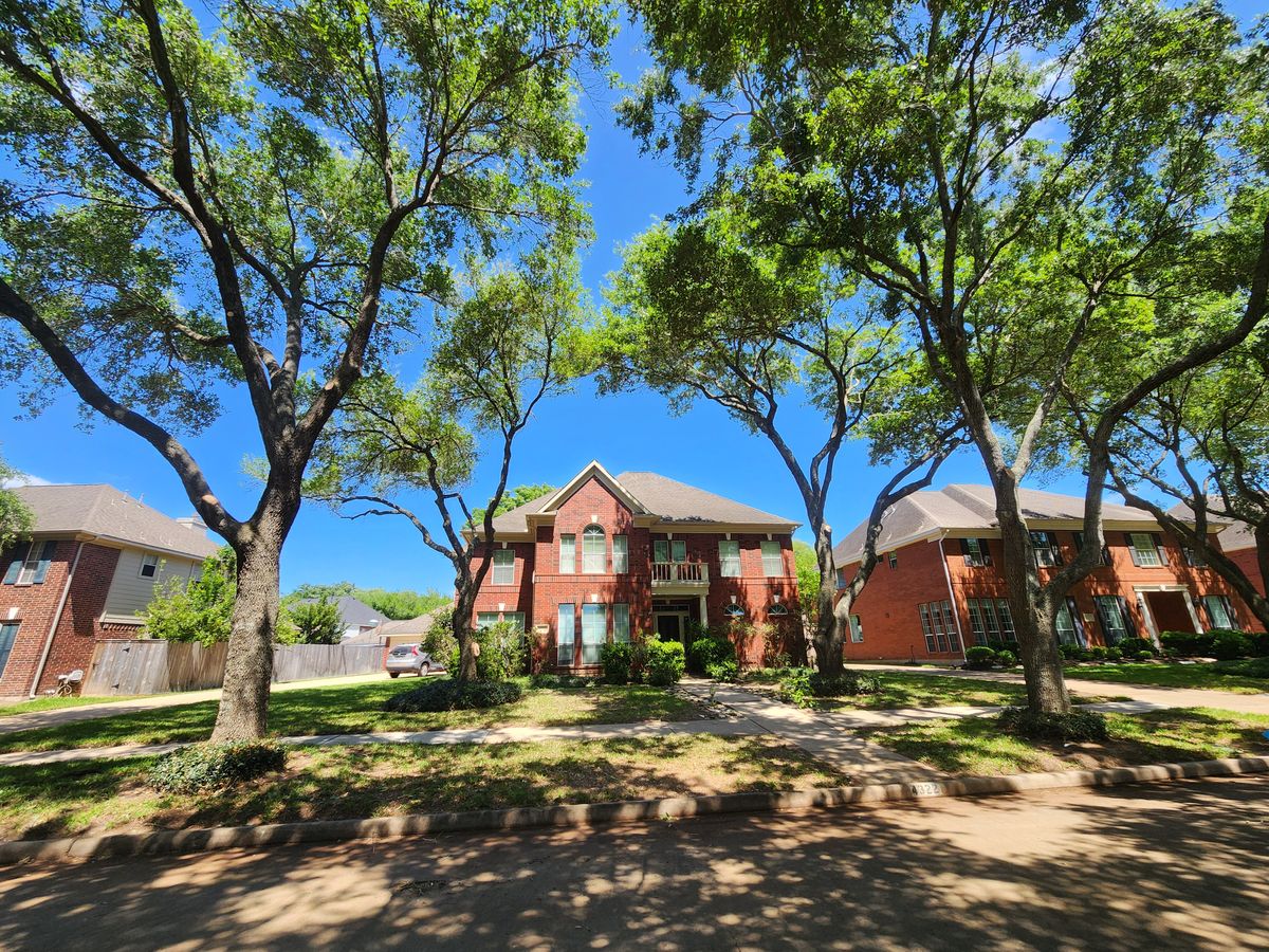 Tree trimming/cutting for Right Choice Landscaping LLC in Houston, TX