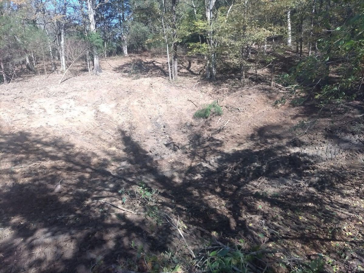 Land Clearing & Demolition for King of Dirt in Cornersville, TN