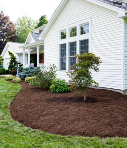 Landscape Design for RZ Landscaping in Lake Wylie, SC