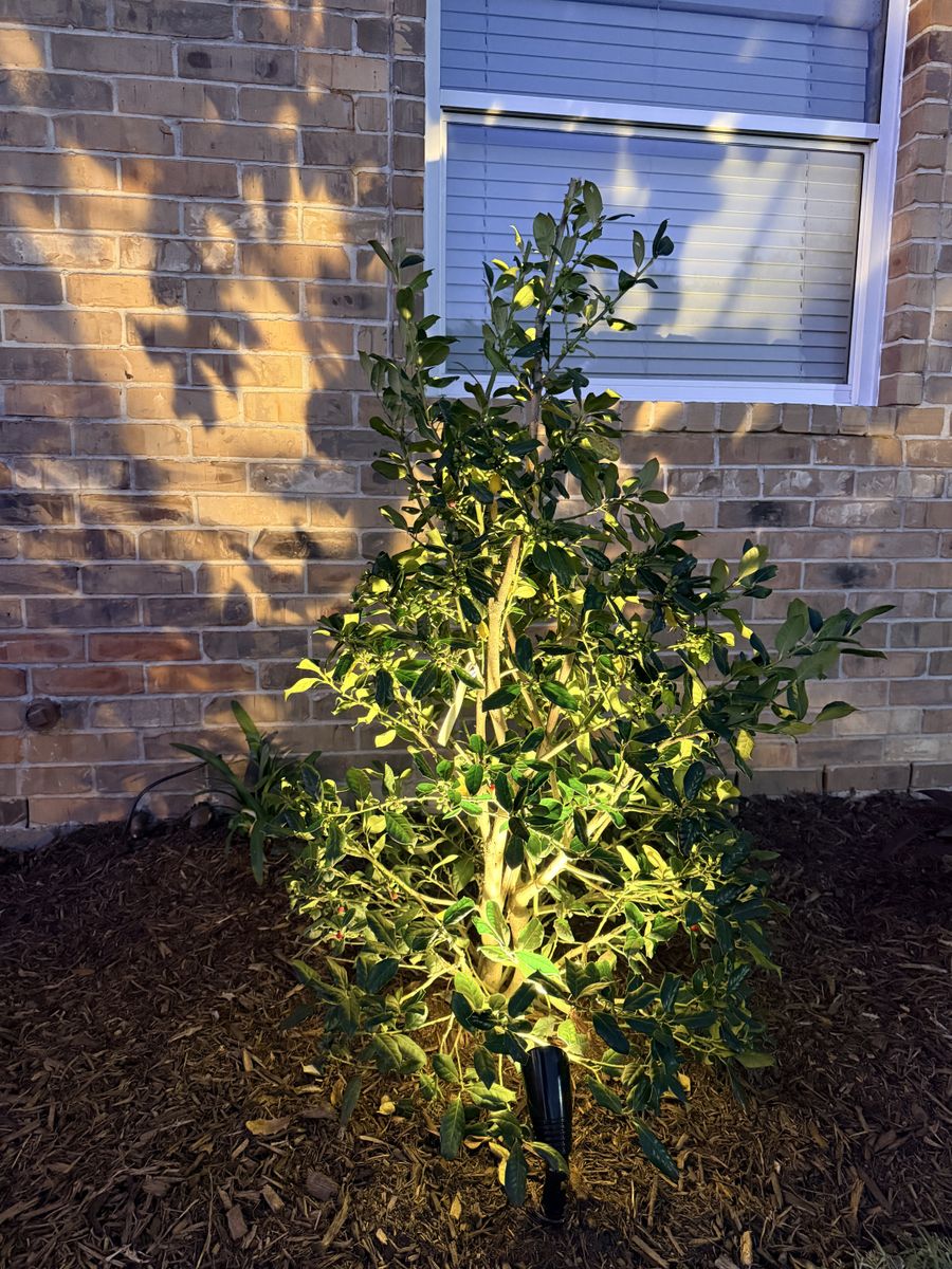 Mulch Installation for Full Armor Landscapes in League City, TX