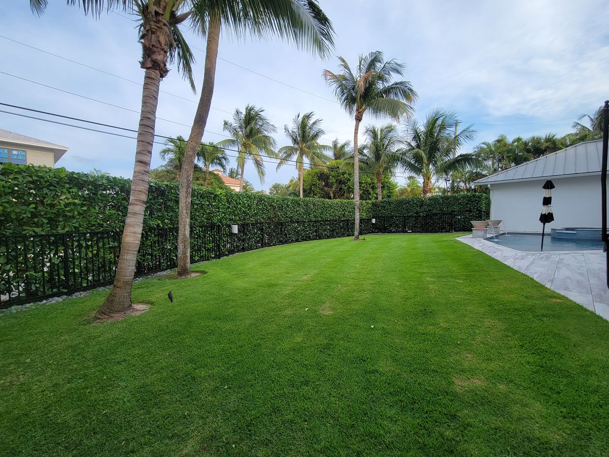 Lawn Care for L & J Palm Tree & Lawn Care Services in Jupiter, FL