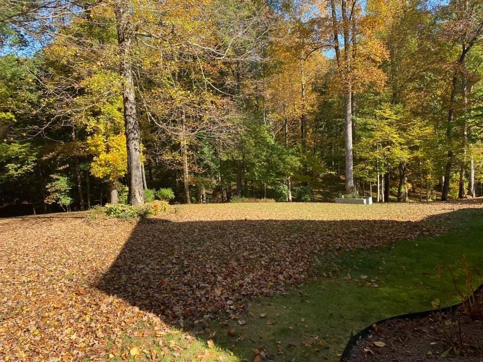 Fall Clean Up for Pro Lawn and Landscape in White Bluff, TN