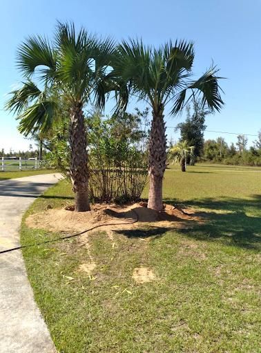 Tree and Shrub Care for Landrum’s Lawn & Tractor Services in Blountstown, FL