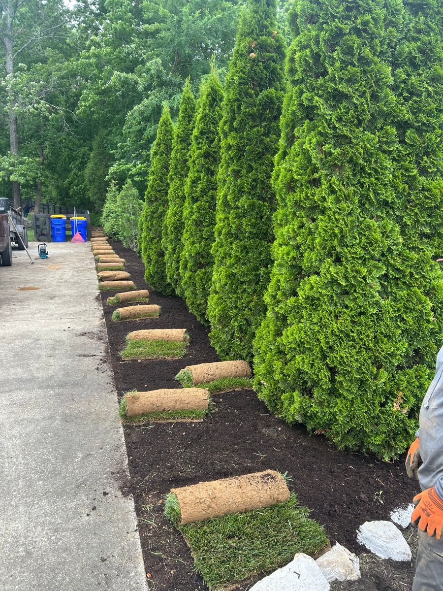 Landscaping for Optimum Tree Service And Landscaping in Bowling Green, KY