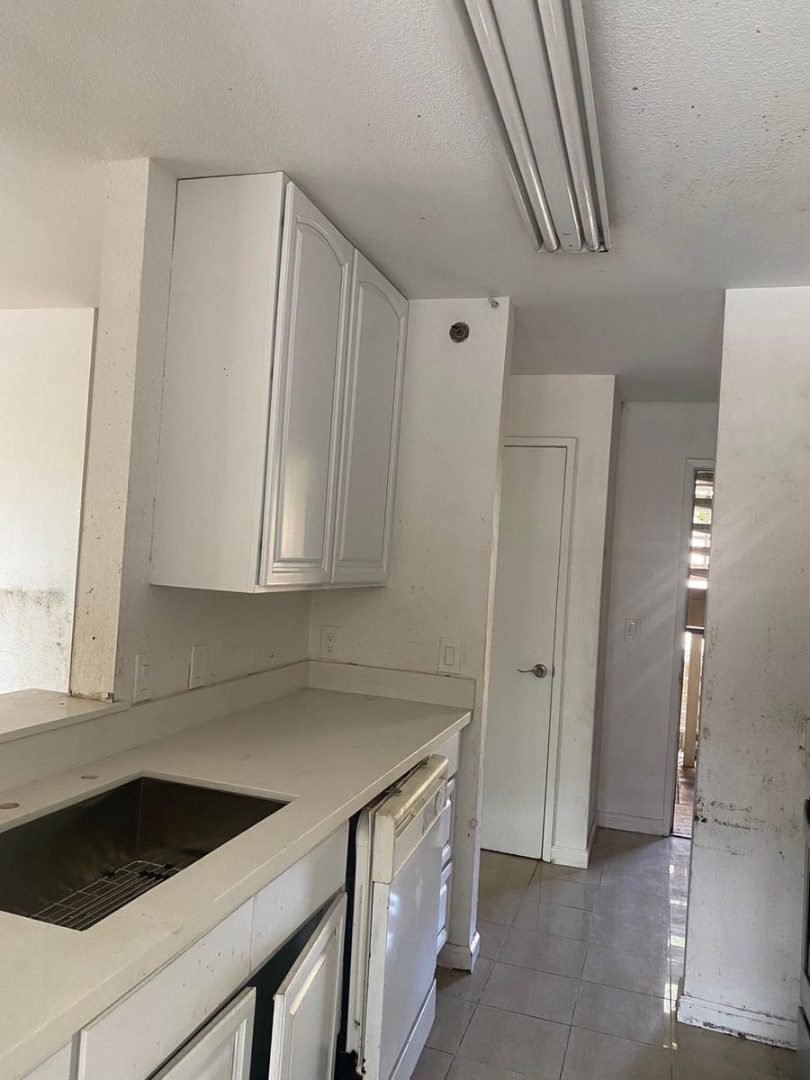 Trimming for Polo's Painting  in San Mateo, CA