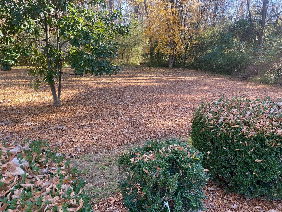 Leaf Mulching for Renfroe Lawncare in Savannah, TN