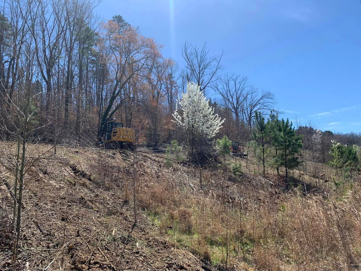 Tree Trimming & Removal for J.P Landscaping and excavation in Chattanooga, TN