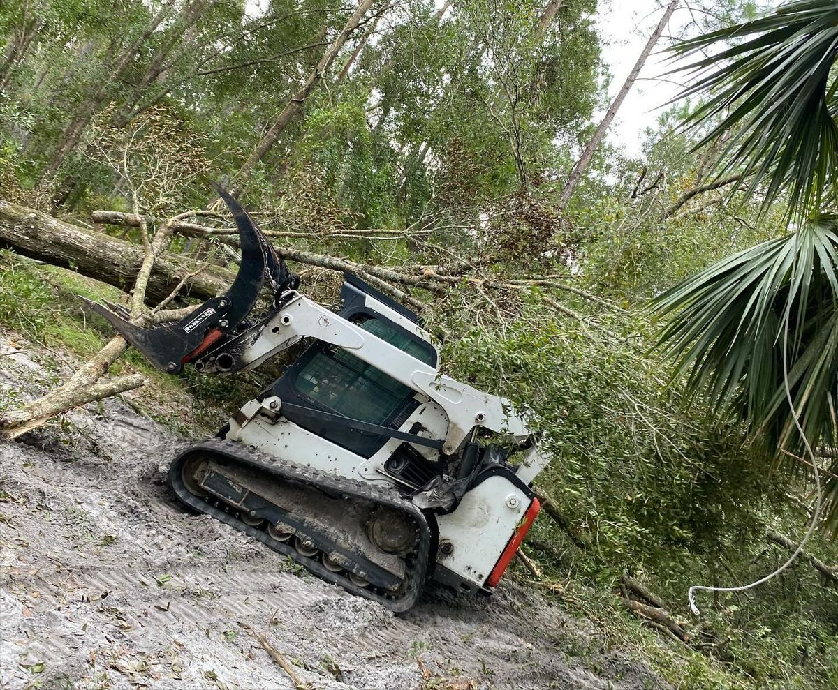 Forestry Mulching for C&C Excavating in Live Oak, FL