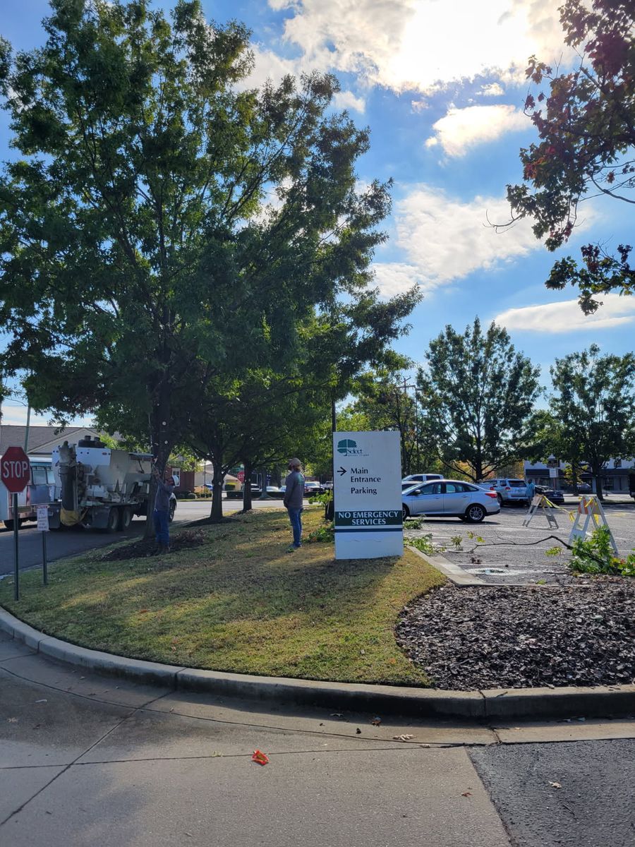 Tree Trimming for Trees Unlimited of the CSRA in Augusta, GA