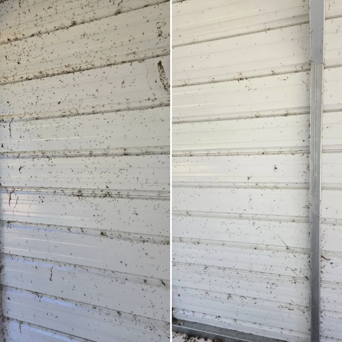 Soft Washing for Above the Lawn Cuts and Pressure Washing in Sebring, FL
