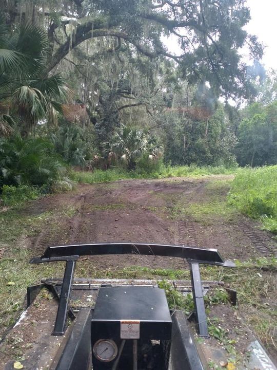 Stump Removal for A-1 Arbor Tech in Groveland, FL