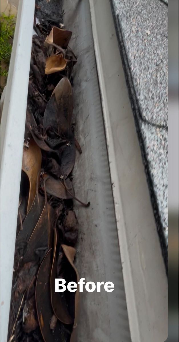 Gutter Cleaning for Amazing View Services in San Diego, CA
