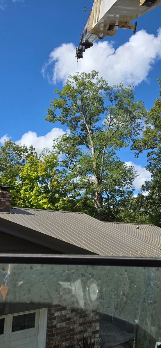 Tree Removal for Advanced Tree Solutions in Rockville, IN