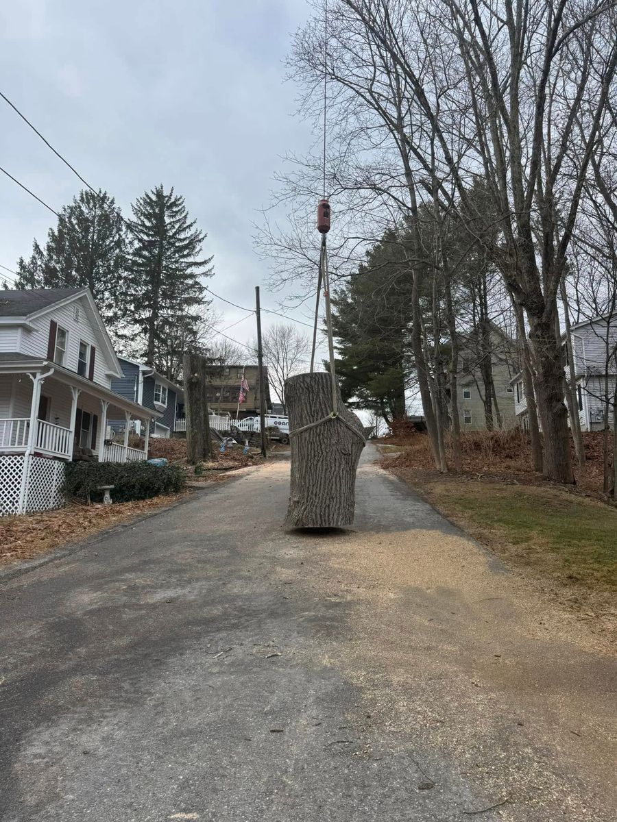 Tree Removal for Redemption Tree & Landscape LLC  in Oakham, MA