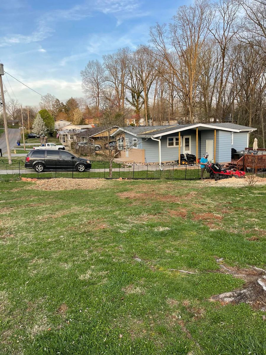 Stump Removal for Lucky’s Tree Removal and Landscape Services in Knoxville, TN