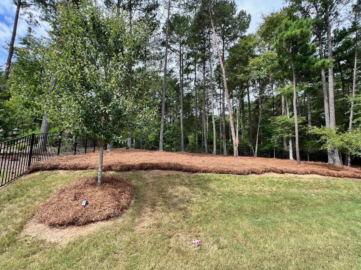 Mulch Installation for Massey Landscaping in Gastonia, NC