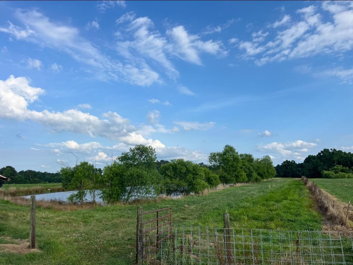 Land Clearing for Collins Constructors in Fyffe, AL