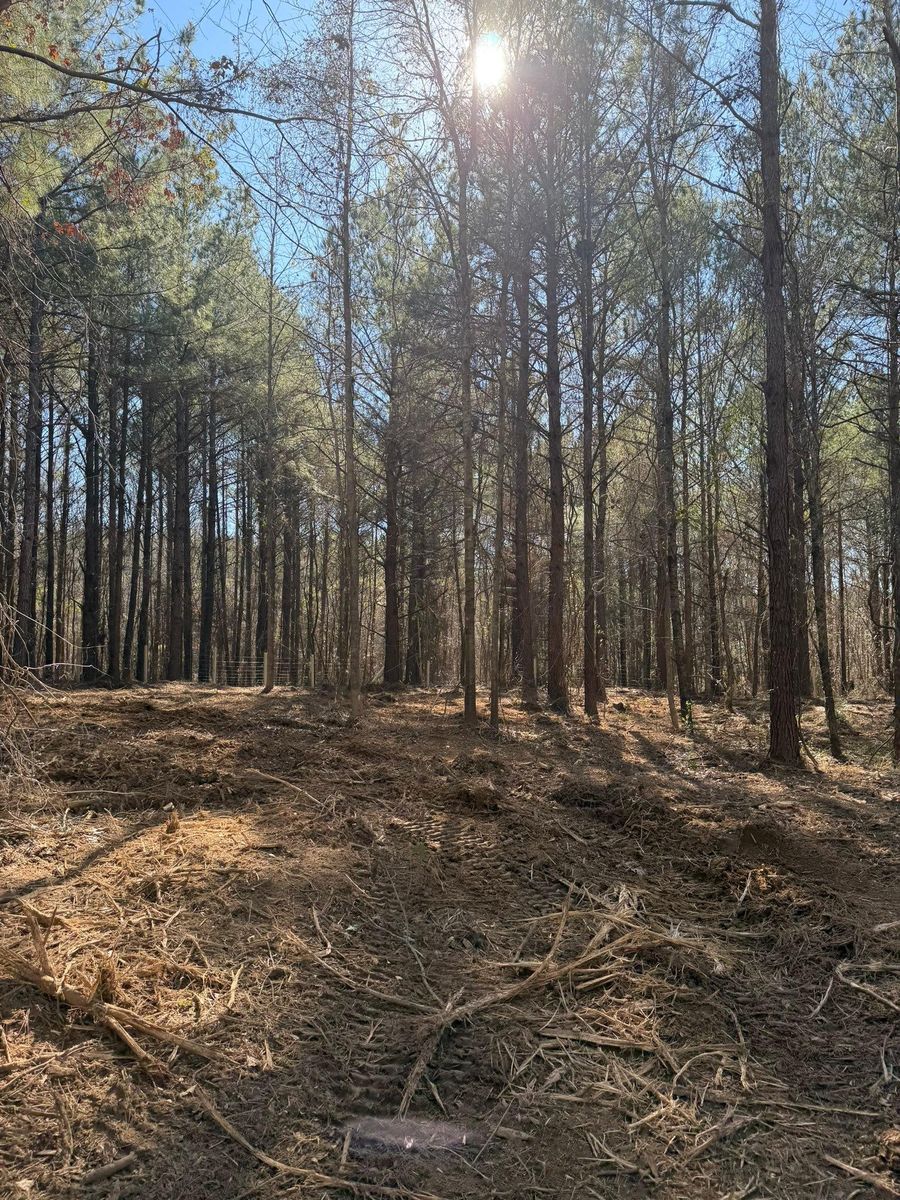 Forestry Mulching for Big Munchie Landworx in Jackson, MS