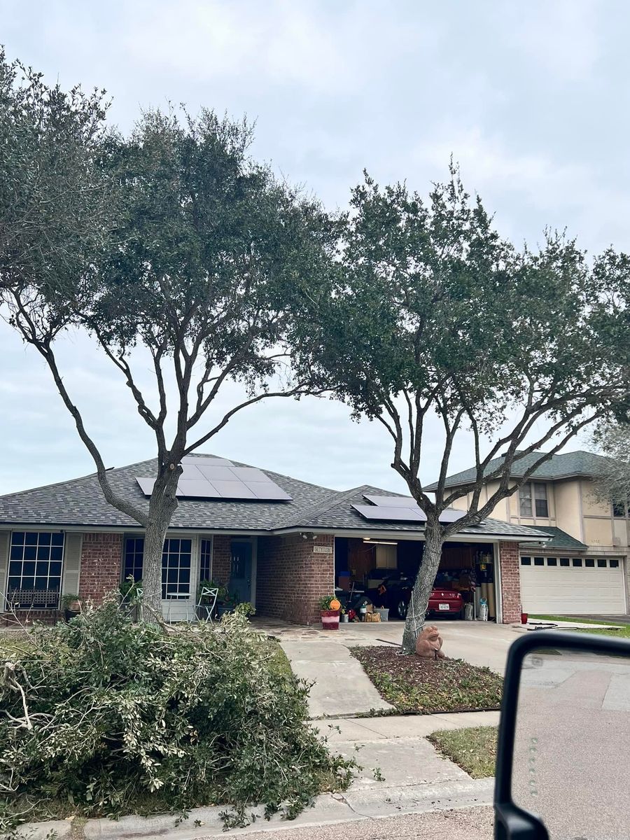 Tree Removal for Johnnys Pro Cutters in Corpus Christi, TX