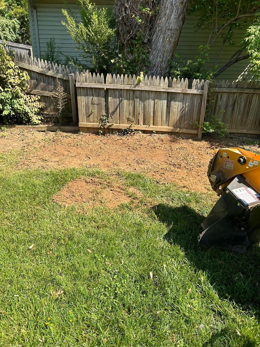 Stump Removal for Mad Dust Stump Grinding in Howard County, MD