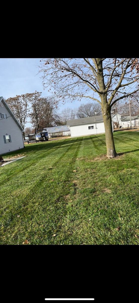 Fall and Spring Clean Up for Hatalla Lawn Maintenance  in Springfield, IL