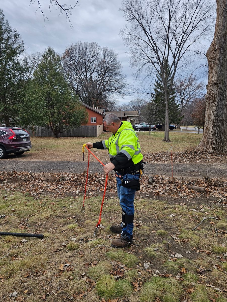 Tree Removal for Minnesota Seasonal LLC in Corcoran, MN