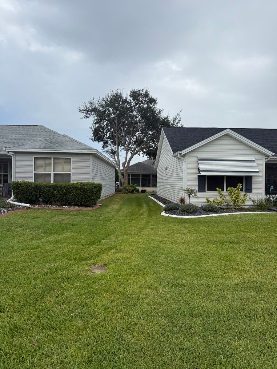 Fall Clean Up for Amerigrown Tree And Lawn in Apopka, FL