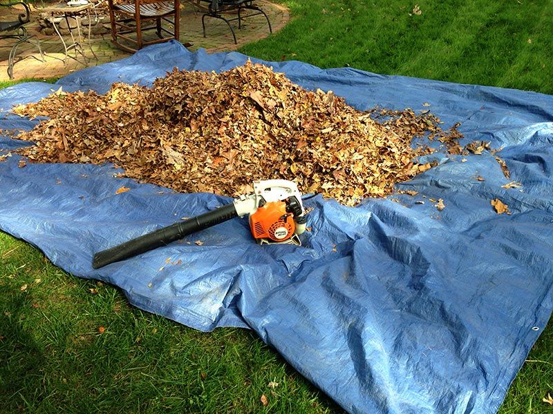 Leaf Cleanup  for P & M LANDSCAPING LLC in Trumbull County, Ohio