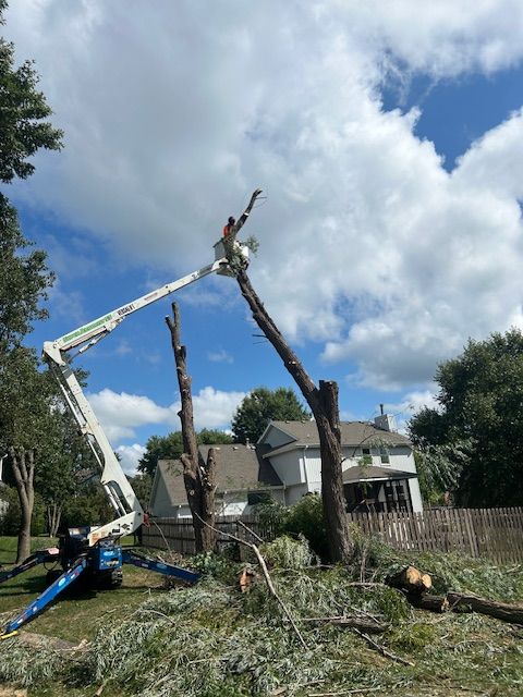 Tree Trimming for Cross Family Tree Service in Kearney, MO