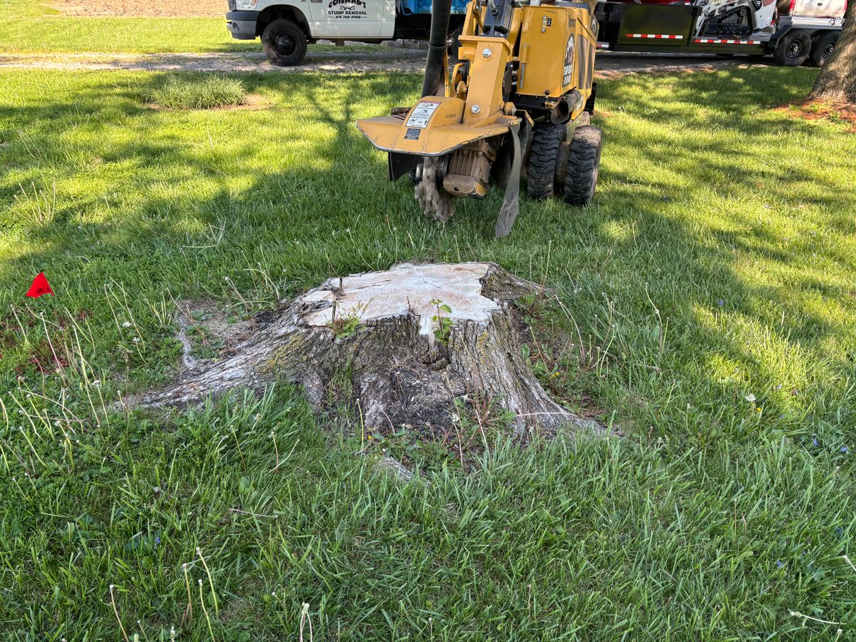 Stump Removal for Conrad's Stump Removal in Columbus, IN