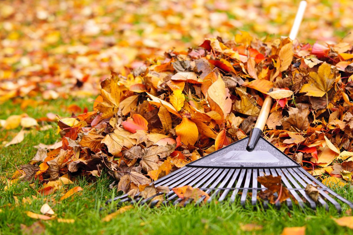Leaf Removal for Jae's Lawncare, LLC. in Evansville, IN