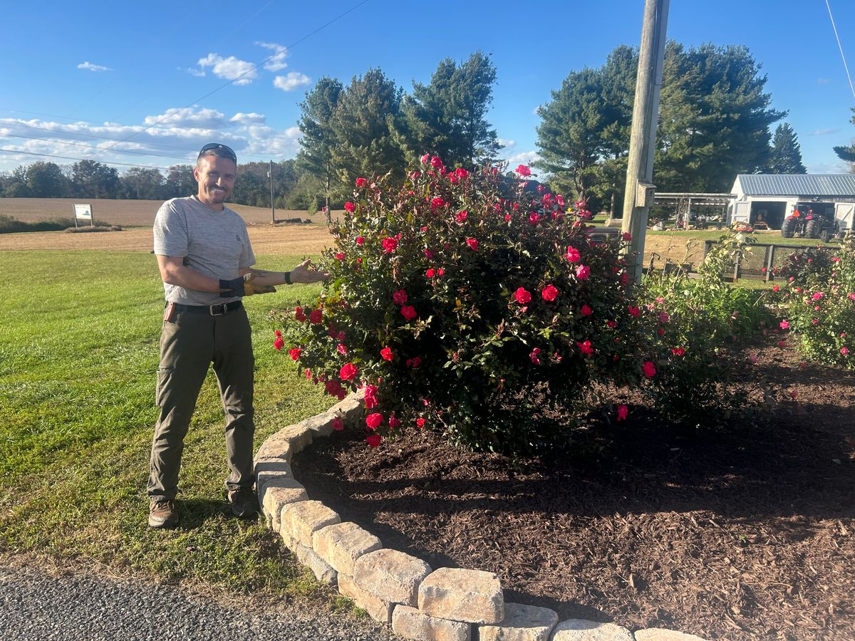 Flower Bed Installation  for The Whole 9 Yards Landscape VA in Heathsville, VA