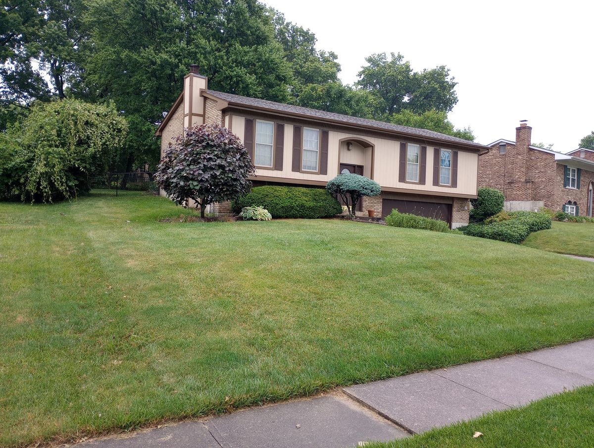 Shrub Trimming for Kingdom Tree Trimming and Removal LLC in Covington, KY