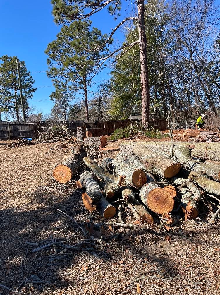 Tree Removal for Kingdom Riderz Hauling And Tree Service in Tar Heel, NC
