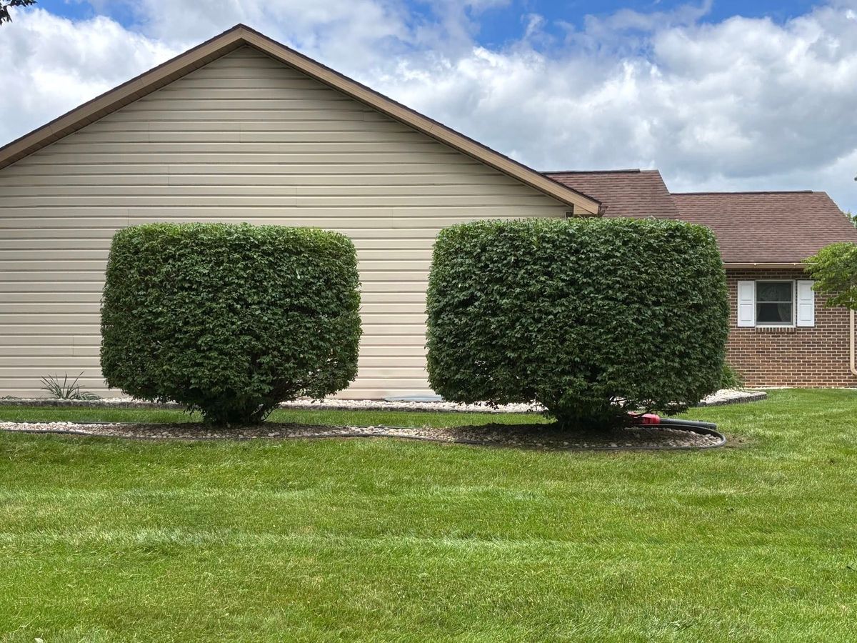 Tree & Shrub Care for Backyard Acres Lawncare LLC in Chambersburg, PA