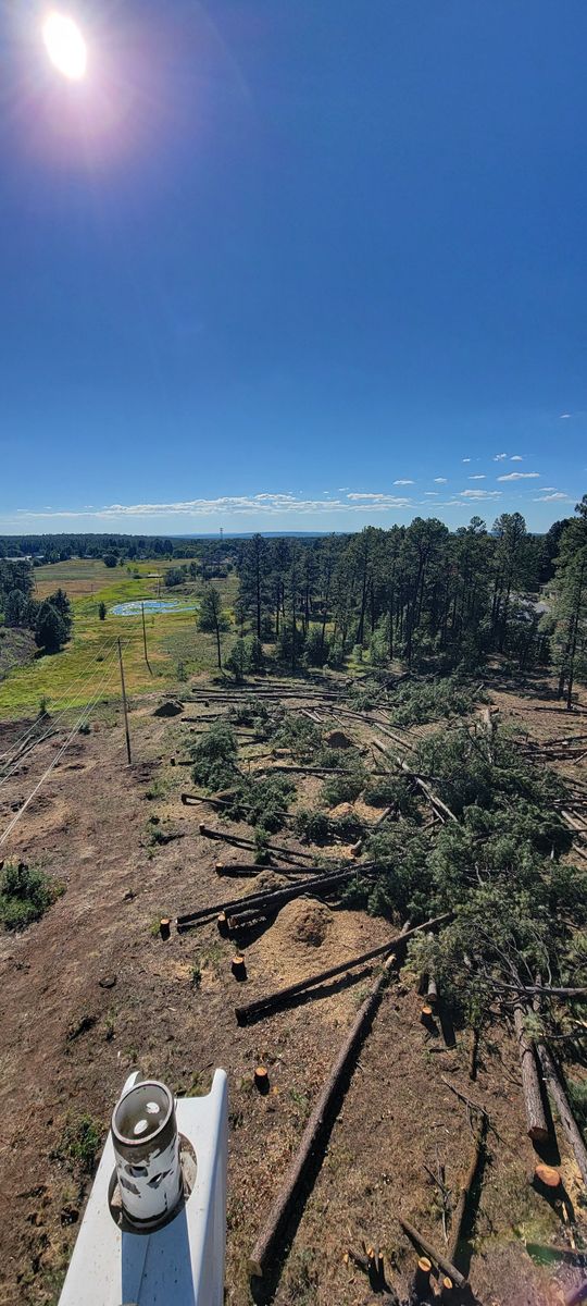 Storm Services for StockPro Tree Specialists in Show Low, AZ