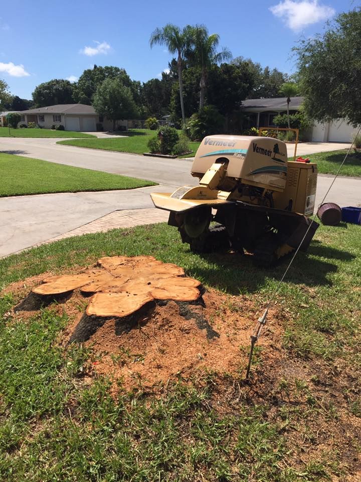 Stump Removal for Adam's Tree and Stump Care in Bradenton, Florida