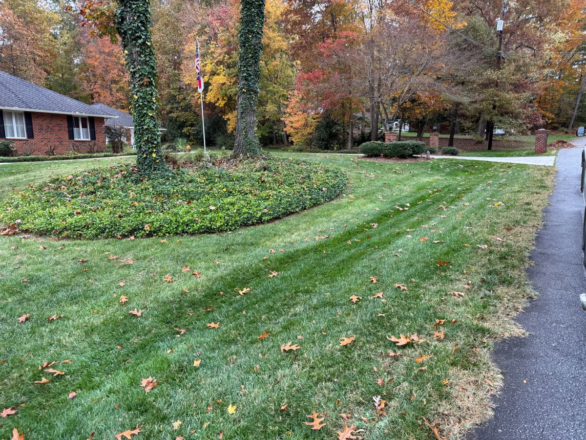 Property Clean Up & Leaf Removal for Gallimore’s Lawn Care in Thomasville, NC