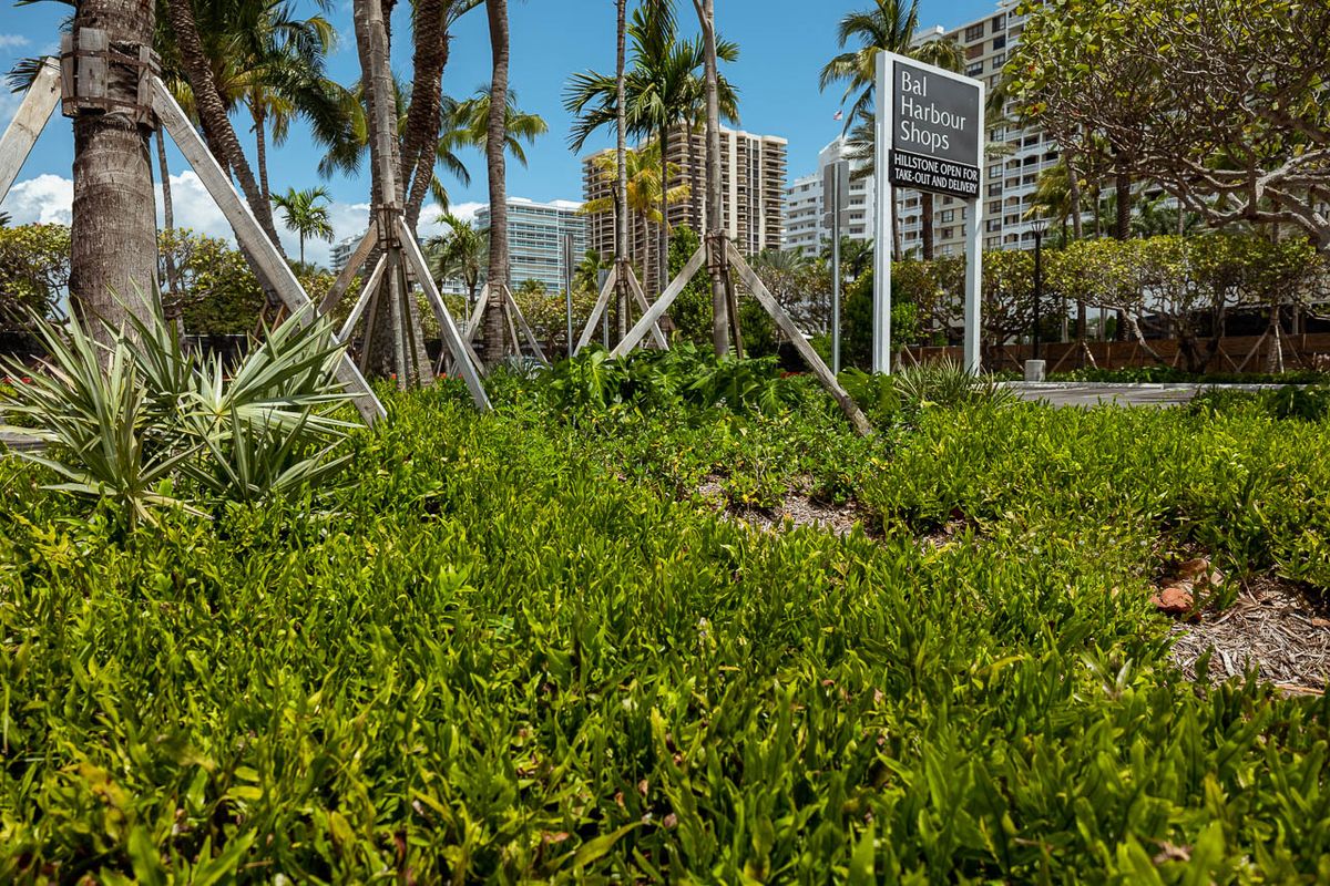 Landscaping for Arazoza Brothers Corporation in Miami, FL