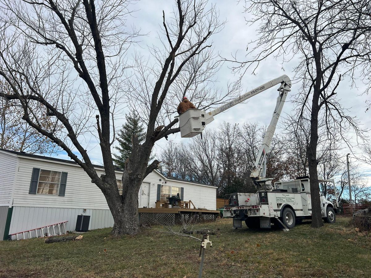 Property Clean Up for Baker Professional Services LLC in Shelbina, MO