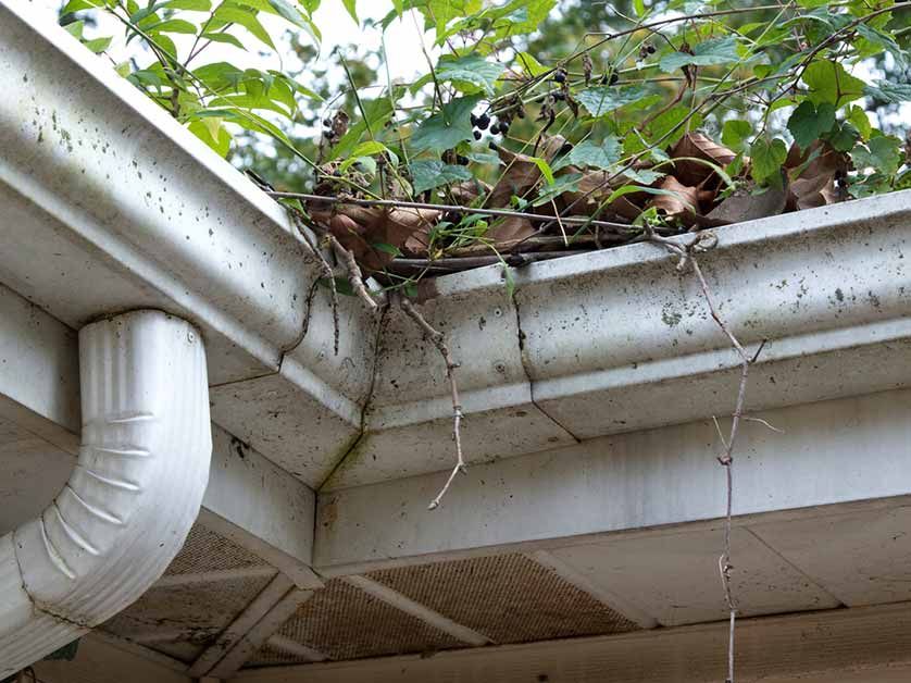 Gutter Cleaning for Buckeye Roof Rejuvenation in Columbus, Ohio