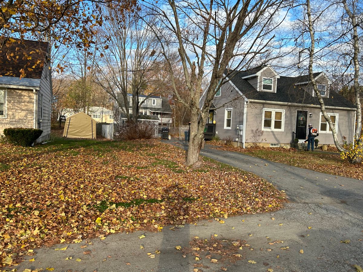 Fall Clean Up for CM & Sons Landscaping LLC in Benton, ME