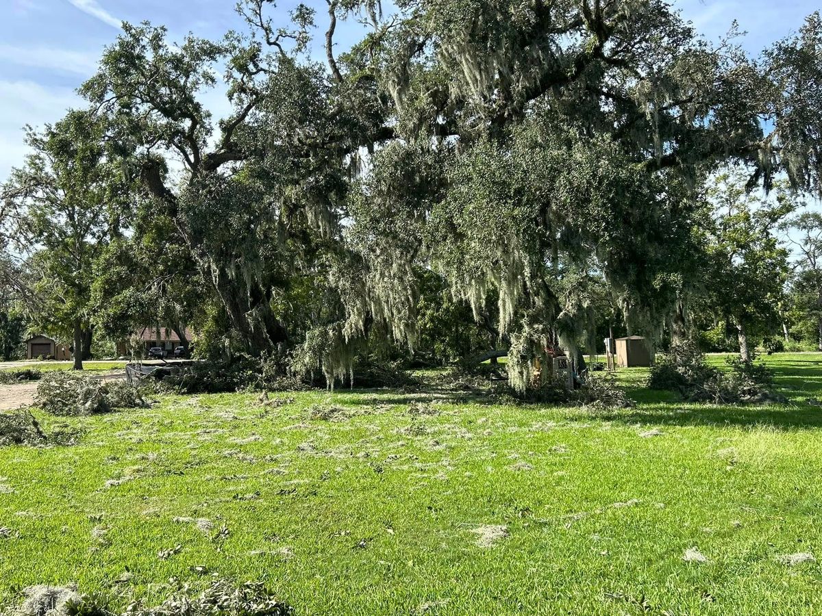 Disaster Cleanup for Divine Construction Services in Brazoria County, TX